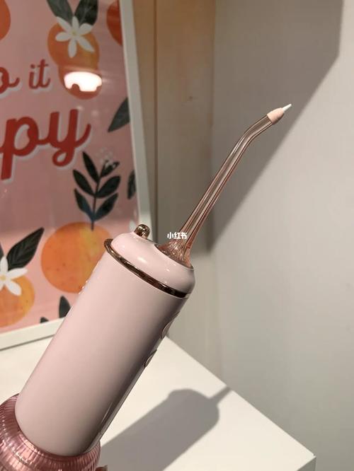 颜值real高的冲牙器,谁不爱呢_冲牙器_素士怎么样_法式风格_电动牙刷