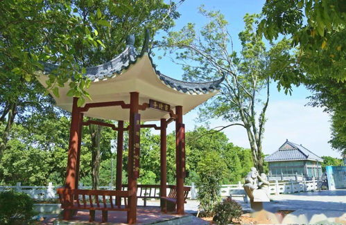麻涌这四个 特色精品示范村 通过市级评审验收